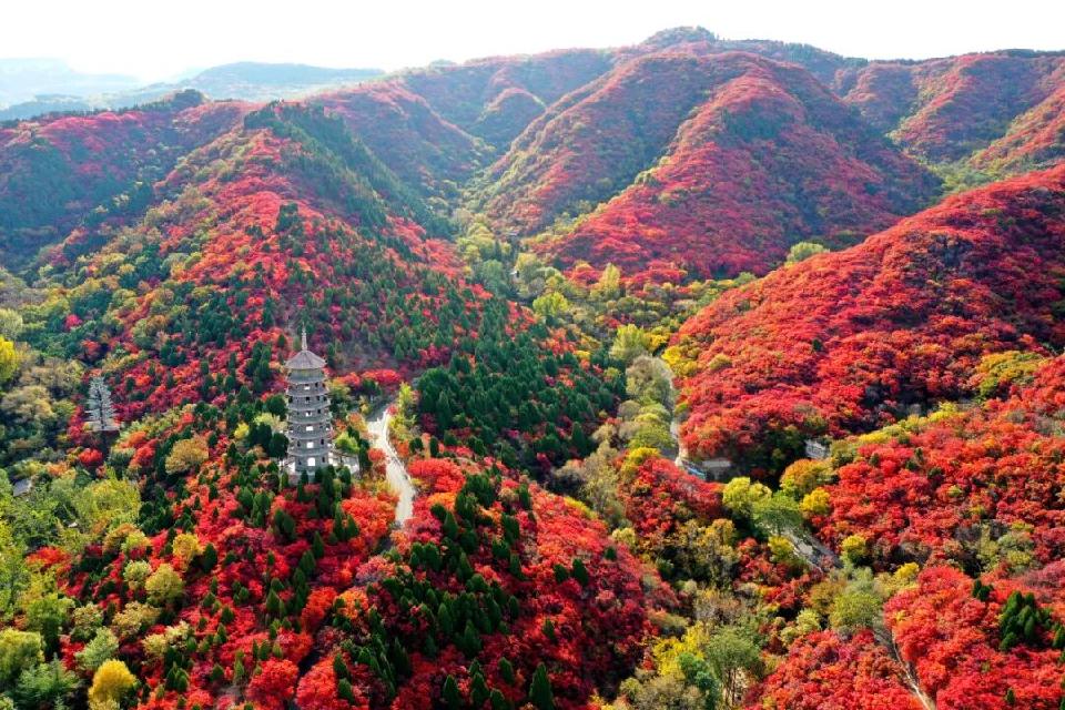 看万山红遍，层林尽染