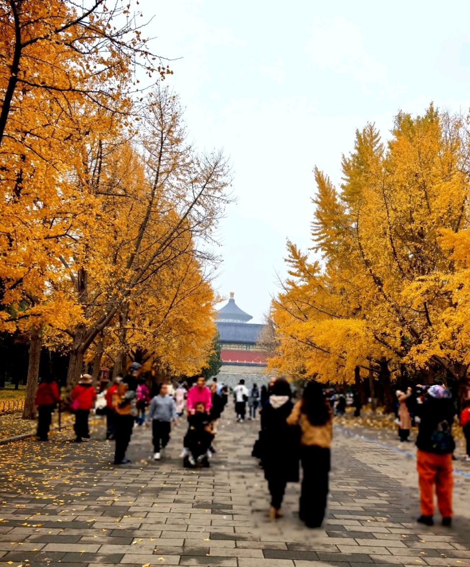 【君王与百姓的天与坛…天坛】作者阿莲 朗诵伊莎 立平 深蓝的雪 文娟（图2）