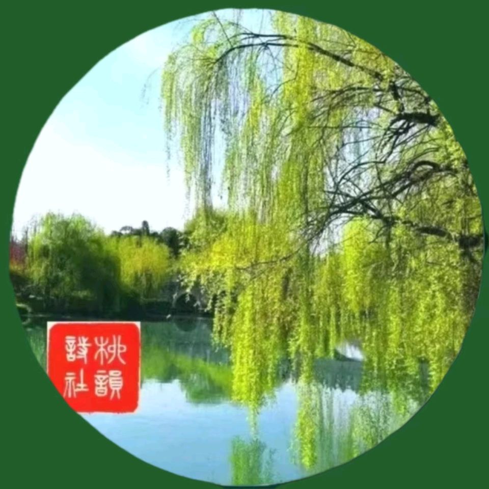 柳韵诗社“浪子迷苑”2000期庆典特辑
