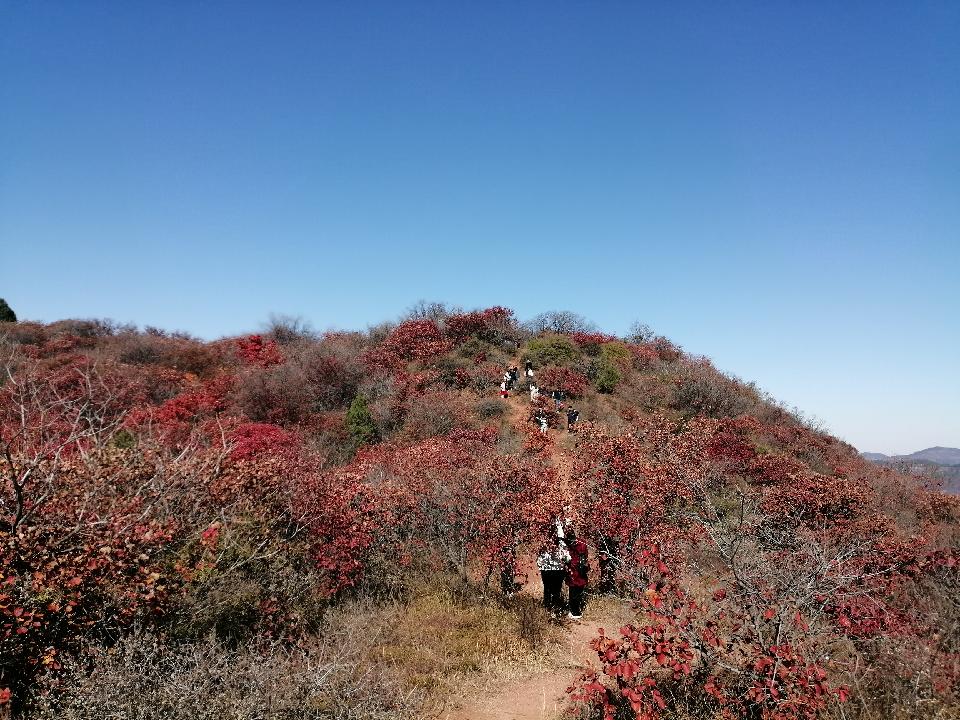 看万山红遍，层林尽染（图10）