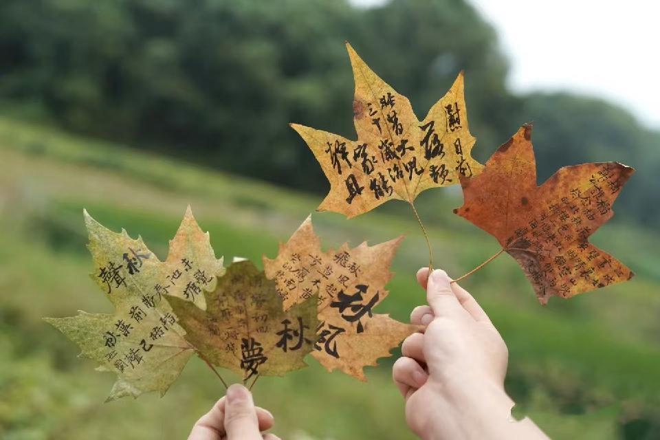 段1 段1