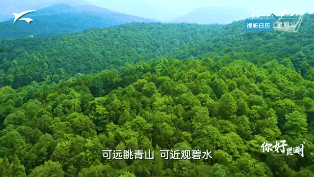 【紫罗兰文学社-北海诗社】都刊第047期既定同题 || 秋杪书简(图16)