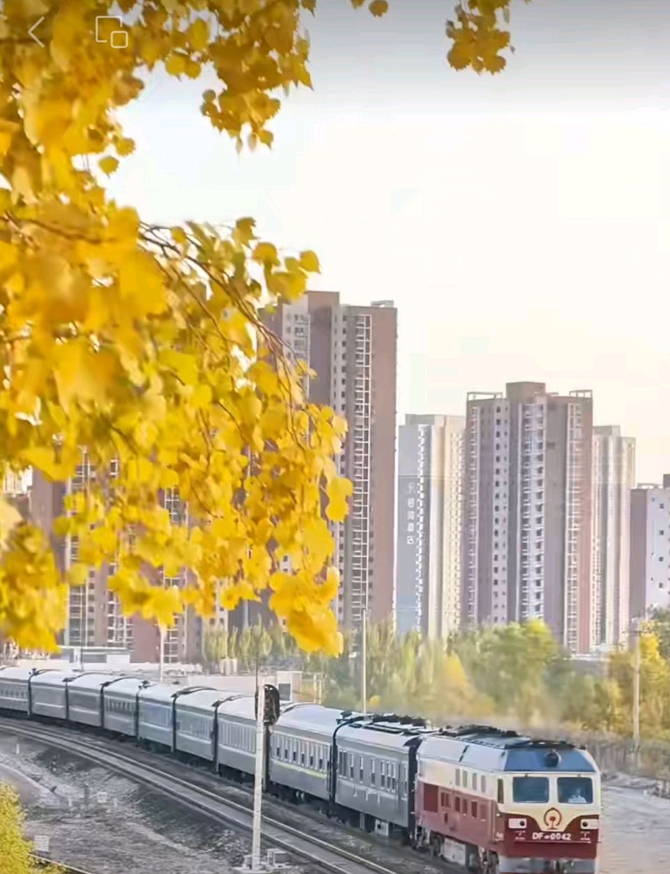 【荣耀中国】七律 田园归隐之稼轩文/李尚春（图3）