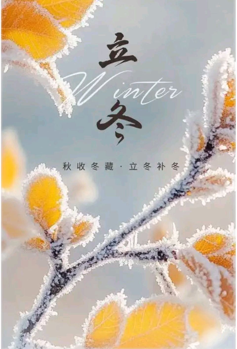 【豆蔻诗社】立冬随吟文/楊聖文（图3）