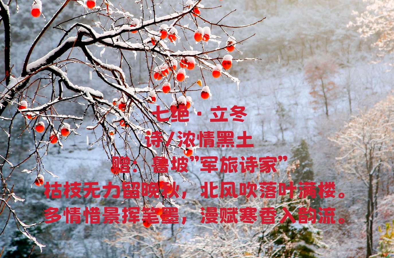 【重磅推出 老山英雄】鲁坡//七•老山有约[秋冬无间雪为媒]系列作品展（图12）