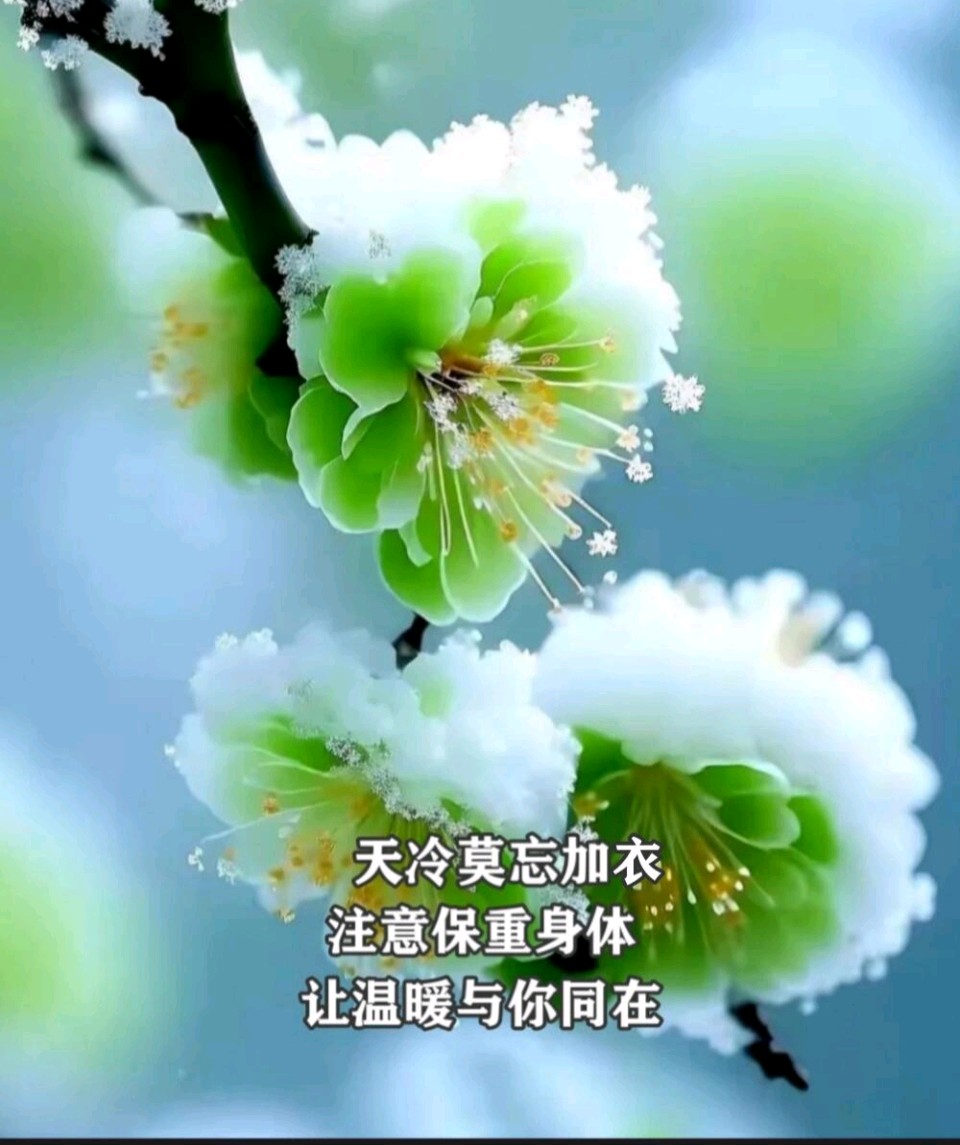 【新山东文学社】《十一月,静待浅冬,念你温暖》作者/一介布衣 主播/墨兰(图3)