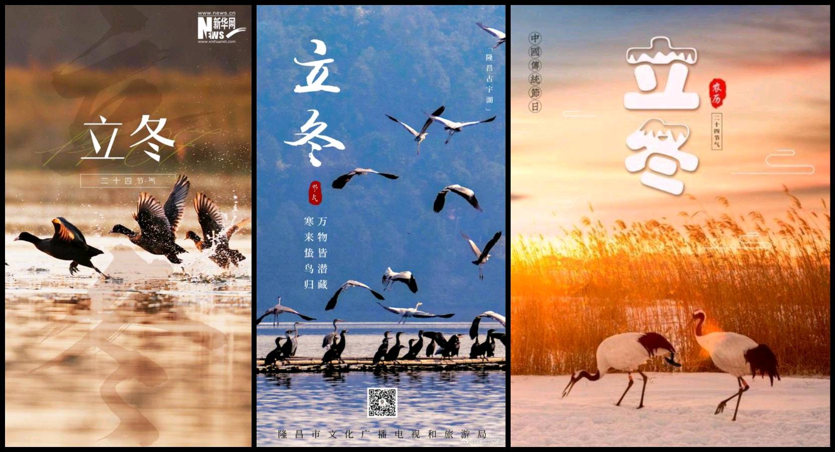 【重磅推出 老山英雄】鲁坡//七•老山有约[秋冬无间雪为媒]系列作品展（图7）