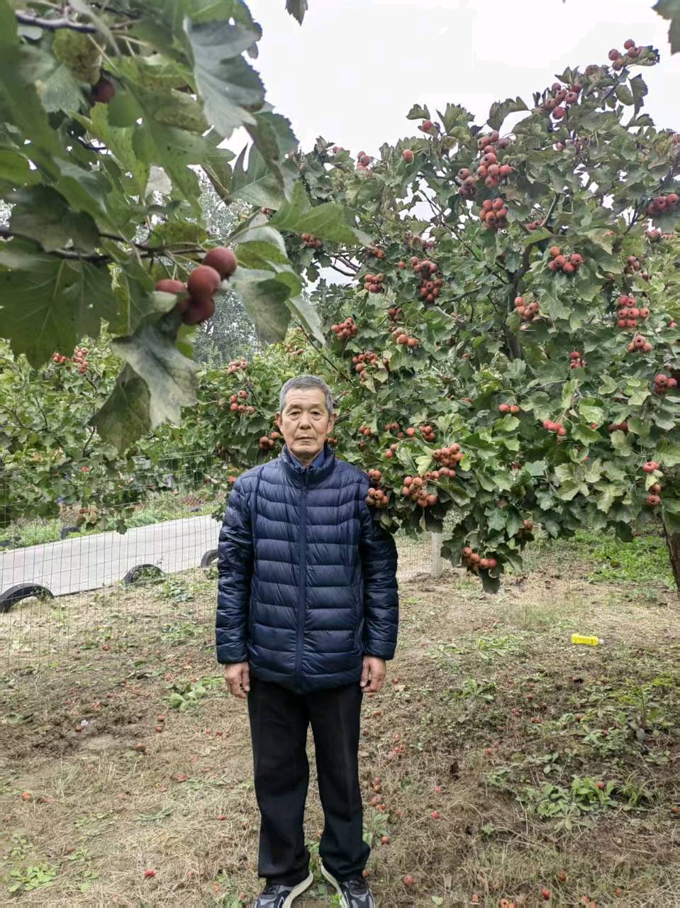 【茌山诗苑】山东岳传清‖情寄春雨（图3）