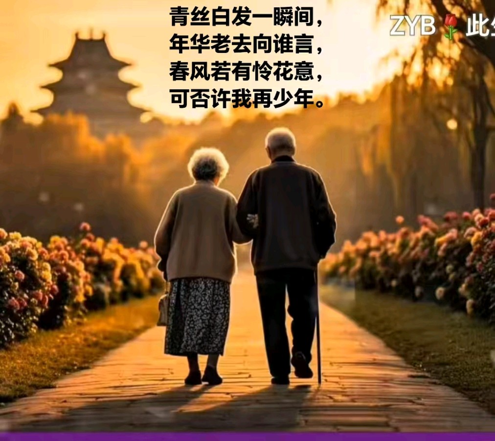 旭日东升（長民）汇编//老年人在网络上的风采（图16）
