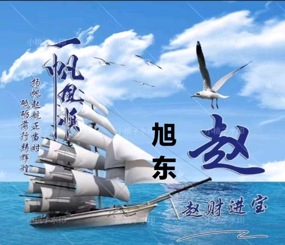 旭日东升（長民）汇编//老年人在网络上的风采（图18）