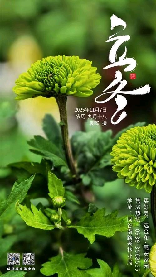 七律《乙巳立冬》（外四首）文/潘毅（图8）