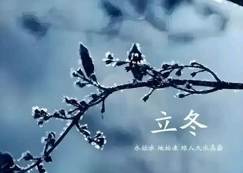 七律；立冬：作者／张德凤