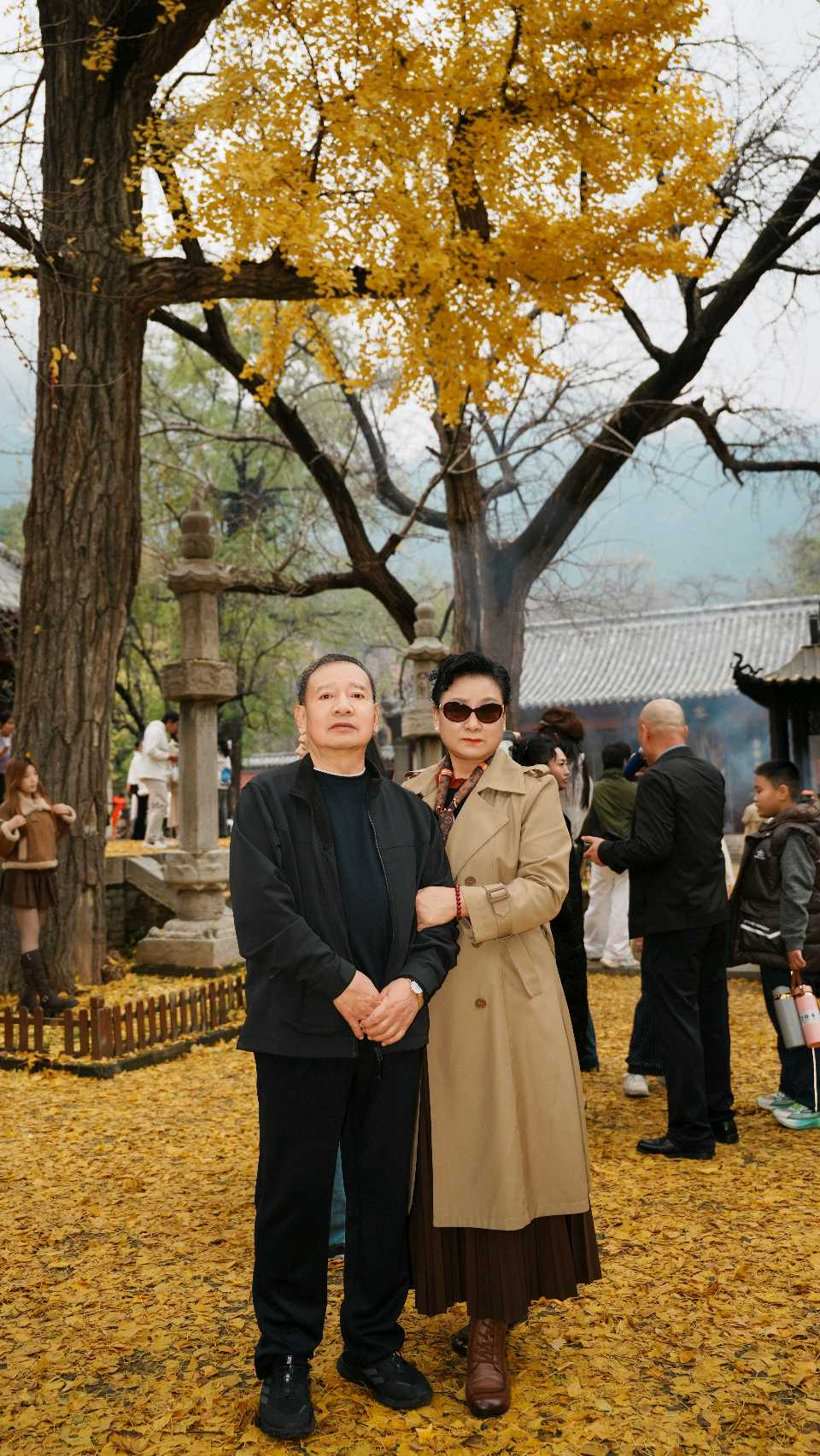 千年银杏树一北京头条（图9）