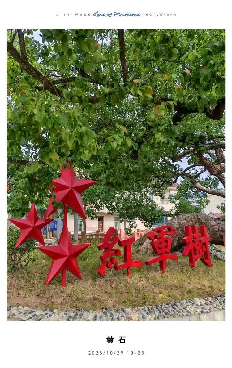 《大美乡村谁不爱；小康生活我尤夸》文/陈少书——湖北（图3）