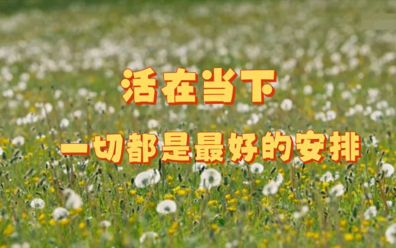 【散文】《活在当下,便是对生命最好的应答》作者: 强军/陕西宝鸡(图2)