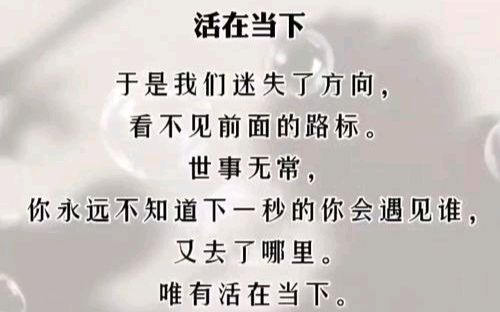 【散文】《活在当下,便是对生命最好的应答》作者: 强军/陕西宝鸡(图13)