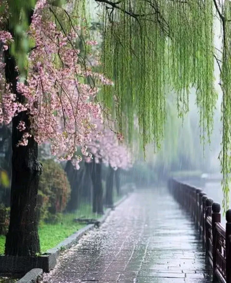 【都市文坛撷英】七律·初冬雨水谭如松（图3）
