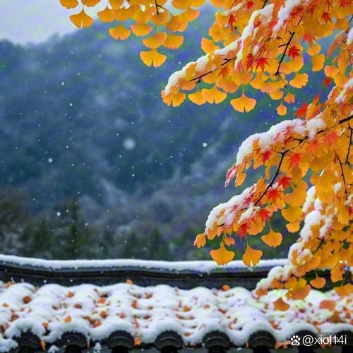 《念奴娇·秋雪庵两浙词人祠堂祭雅集/应子根