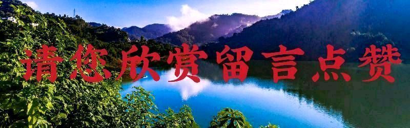 【经典推荐】黄元基//鹧鸪天•嫩冬（图6）