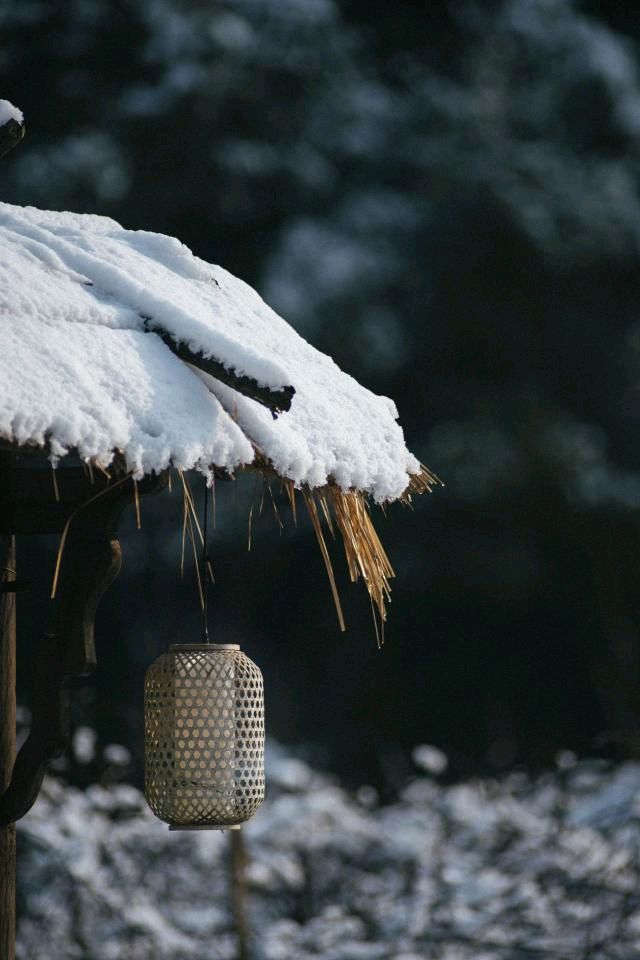聆听 ‖ 杜丽峰朗诵《冬季里的风和雪》作者/吴万瑞（图5）