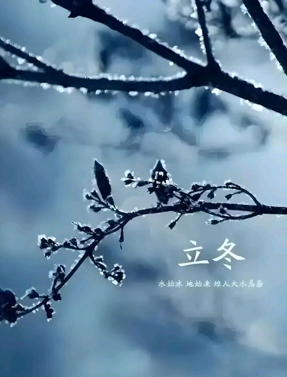 【国学雅韵社】七绝-冬夜抒怀刘永胜（内蒙古）（图4）