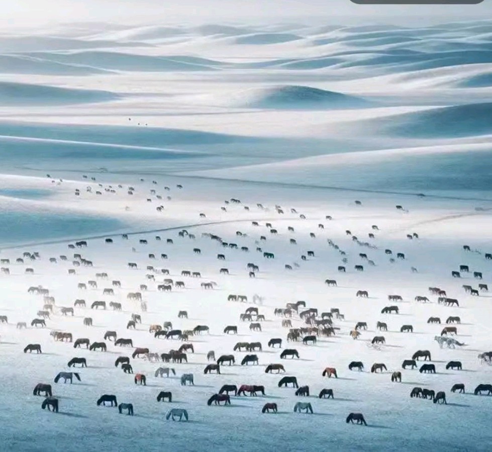 【荣耀中国】冬天的初雪文/东篱翁（图3）
