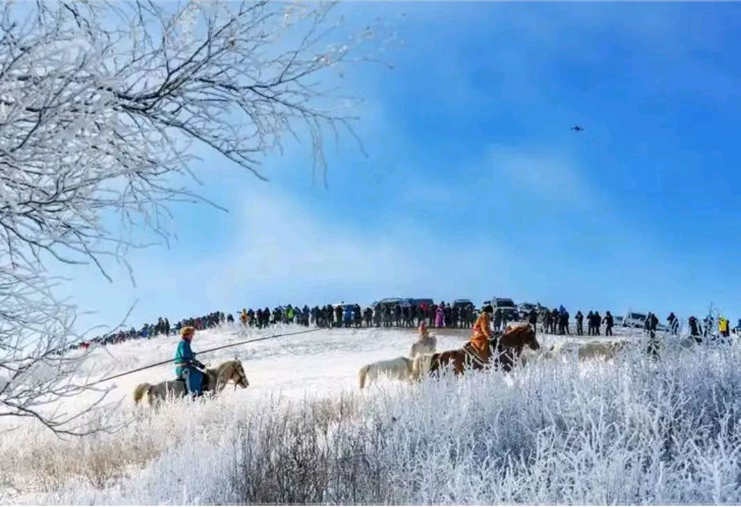 【荣耀中国】冬天的初雪文/东篱翁（图5）