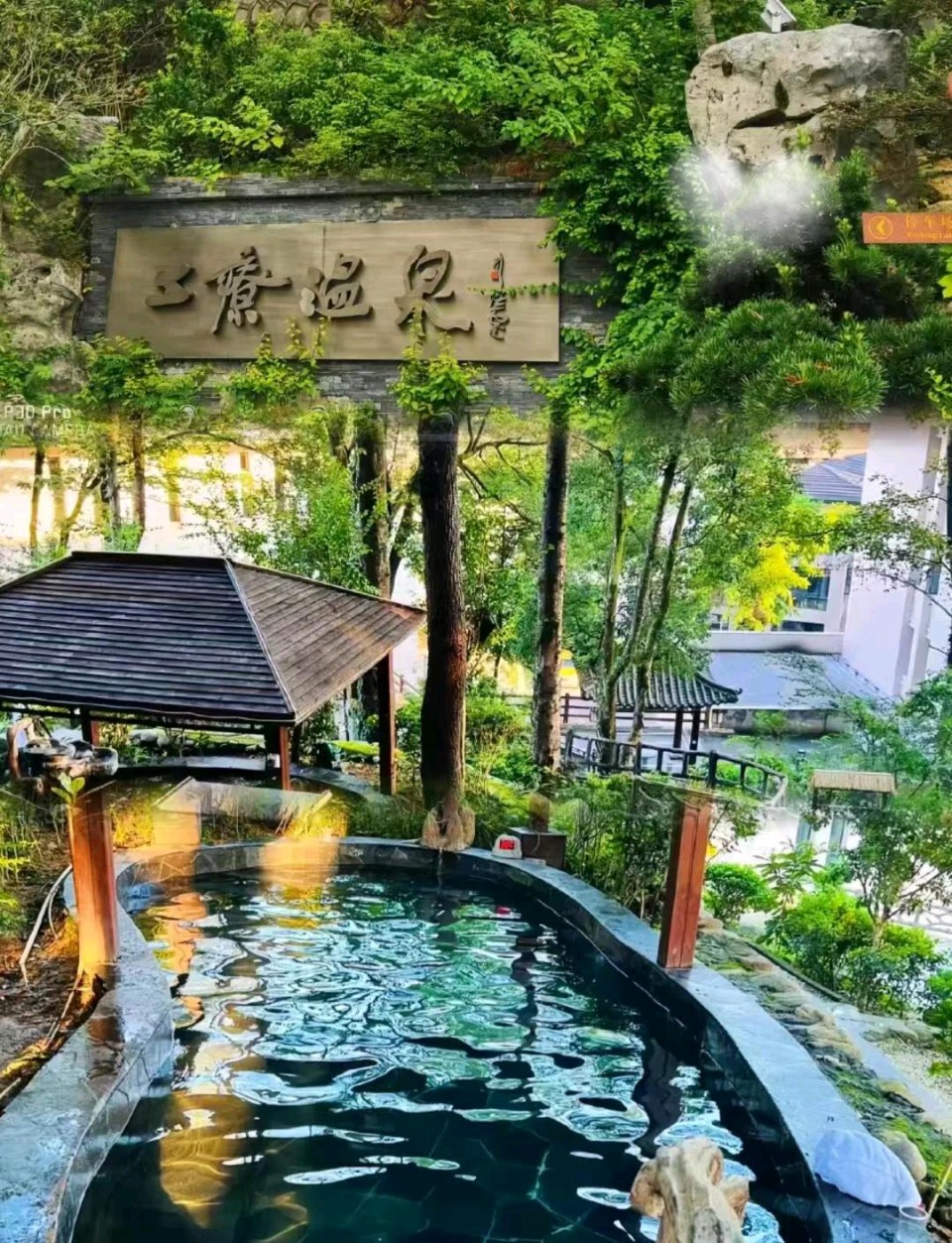 临江仙•亲友温汤沐硒泉（和凝体） 作者:王省南（浙江杭州）（图2）