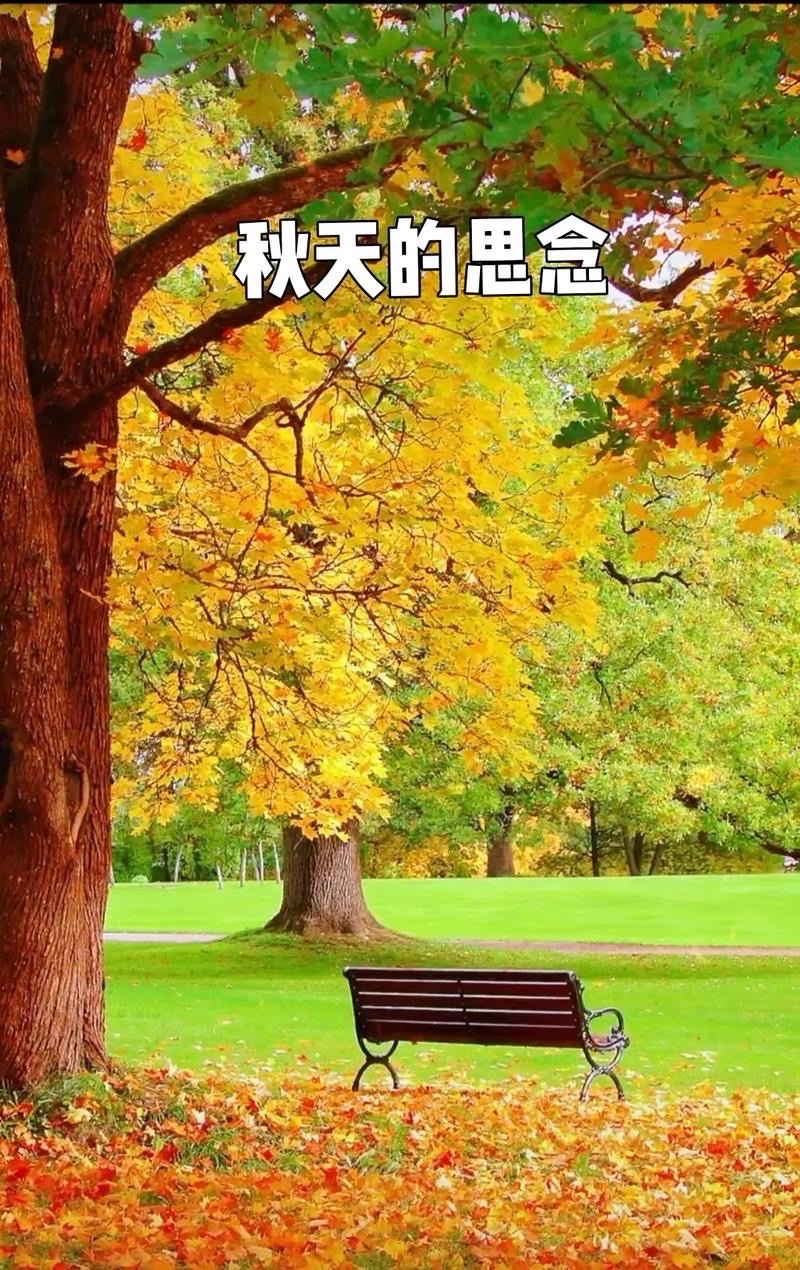 海外头条：海浪朗诵《秋天里的思念》作者||海韵（图5）