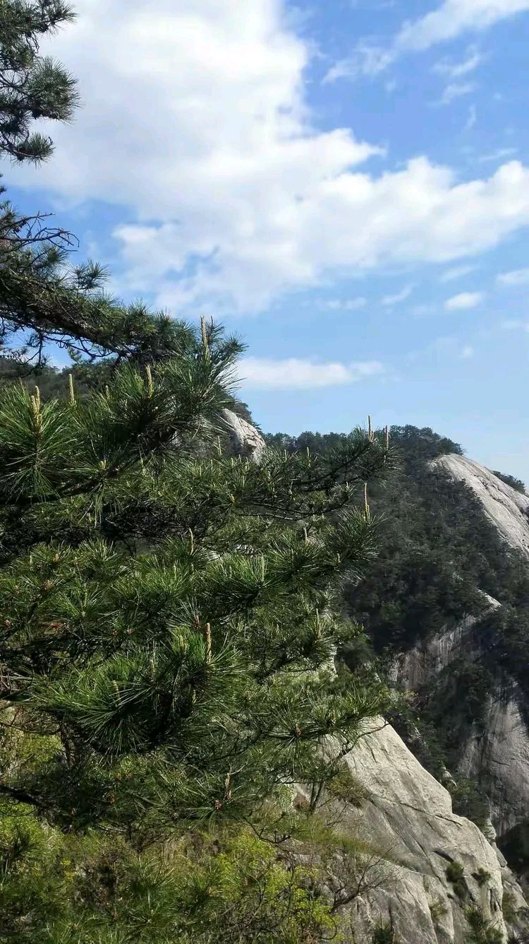 坚守出美景 ◎柳长青 中国作协会员（图3）