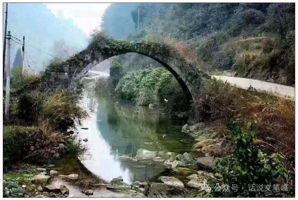 最美的文字感动故乡的心灵(组诗)/作者:唐长青(图6)