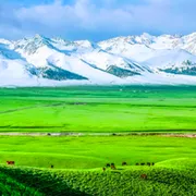 牟晓宁新疆游绝句选粹‖巴彦诗协【1048】（图9）