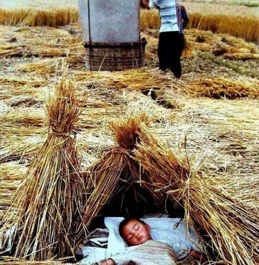 陕西作者母明义《乡恋》（图5）