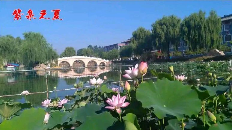 七律-母校情深～诗◑真诚（哲林）（图13）