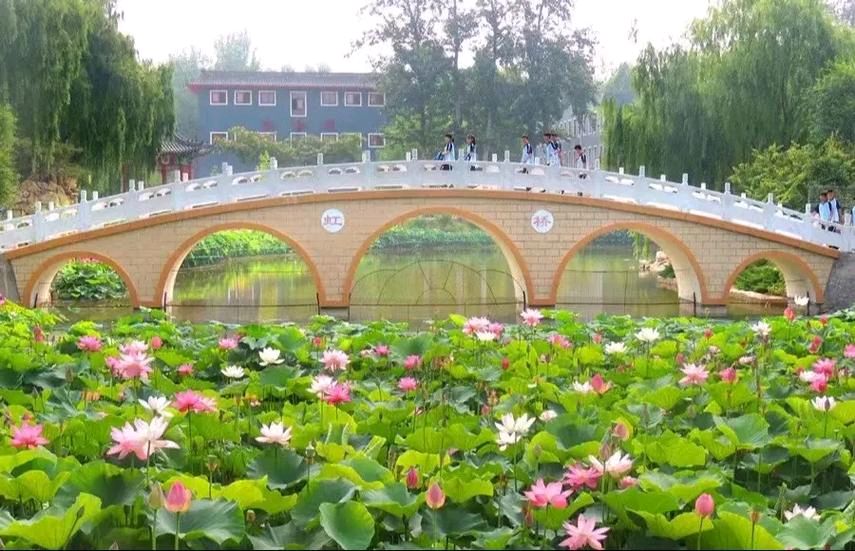 七律-母校情深～诗◑真诚（哲林）（图20）