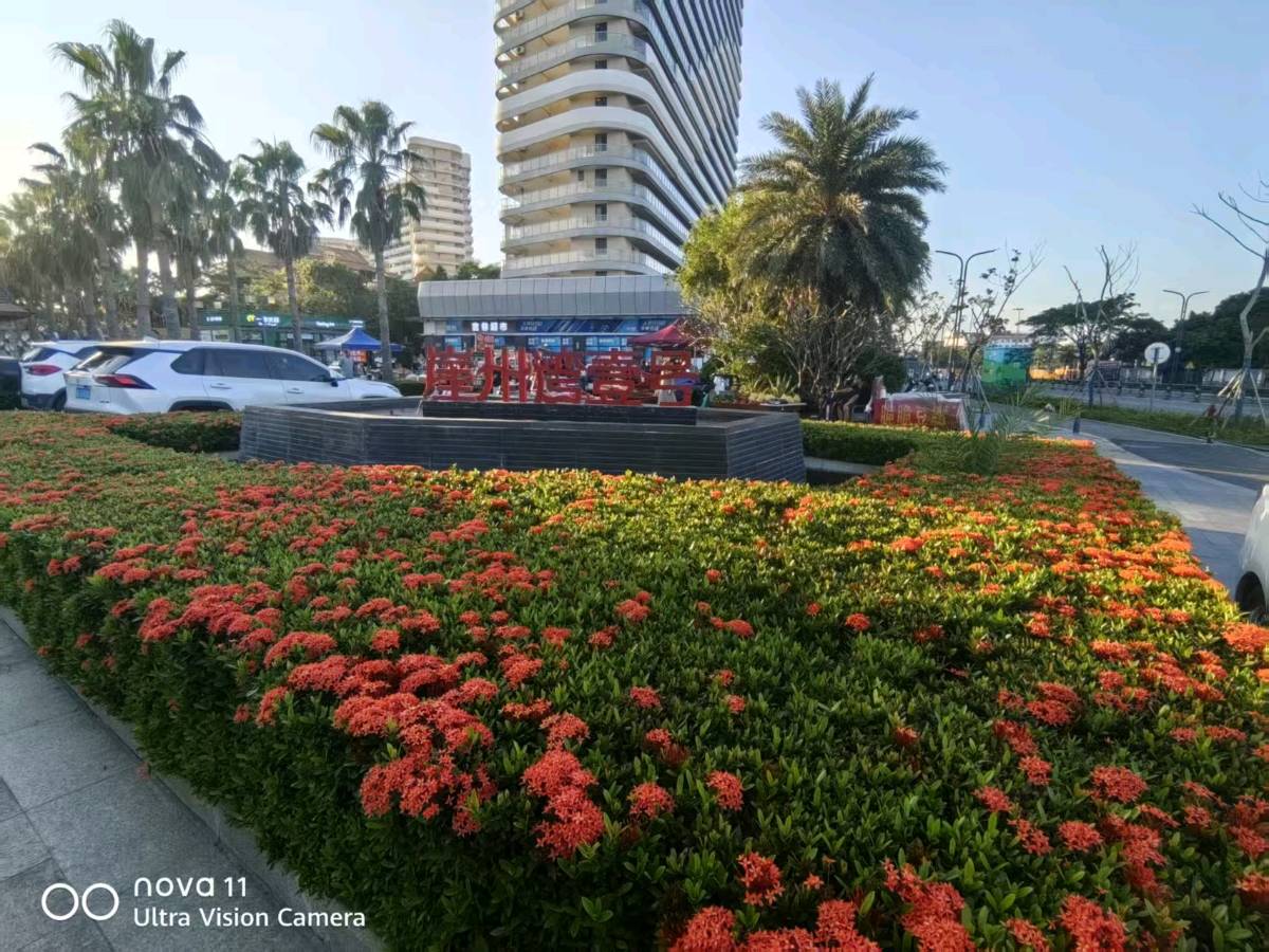 【荣耀中国】鹧鸪天·暮游崖州湾壹号市场词/李申（黑龙江）（图3）