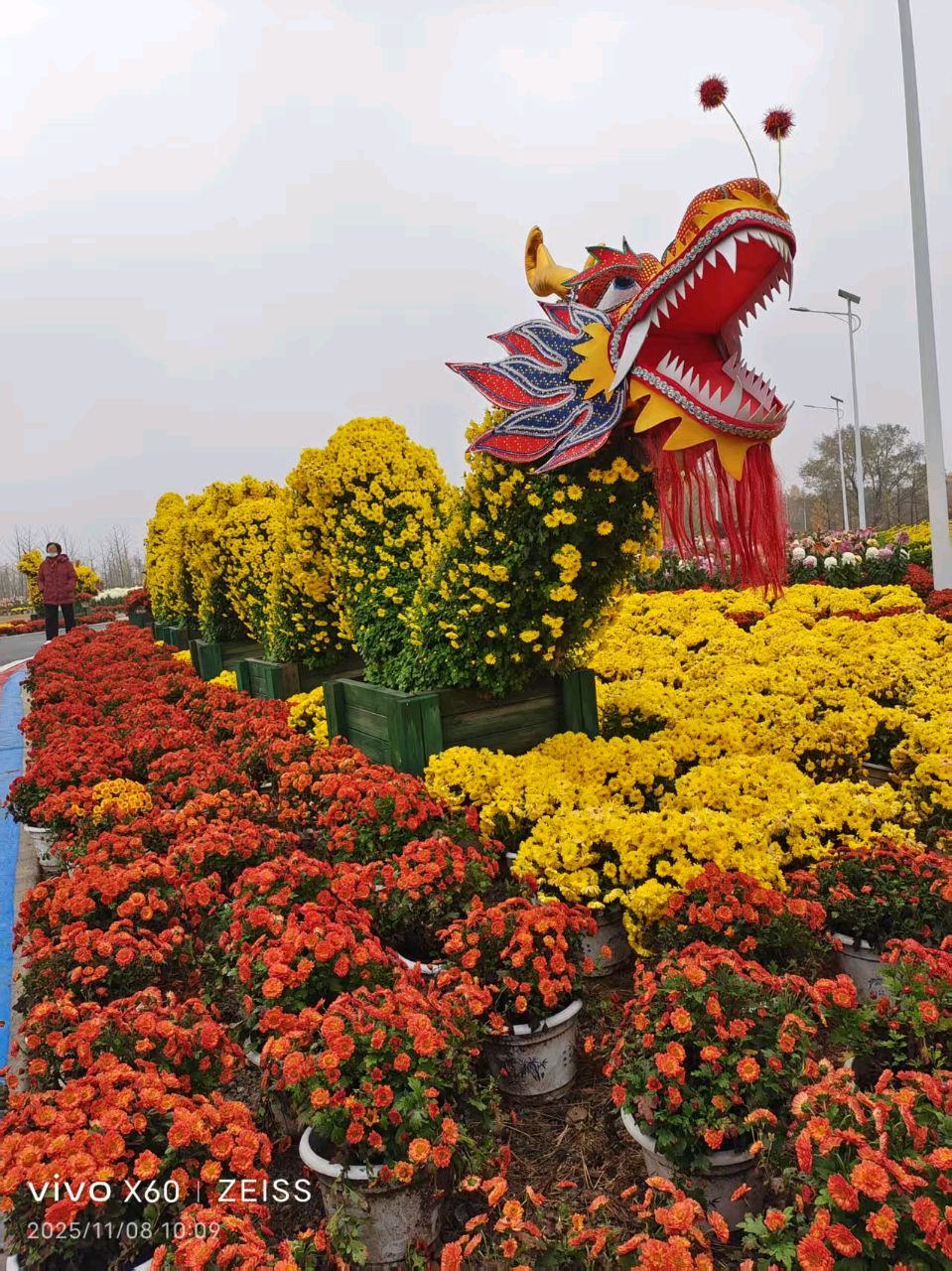 【荣耀中国】 【莺啼序•冬深】 姬花池(山西运城)（图6）