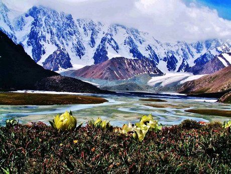 高德军：联咏天山雪莲‖巴彦诗词楹联协会【1051】（图6）