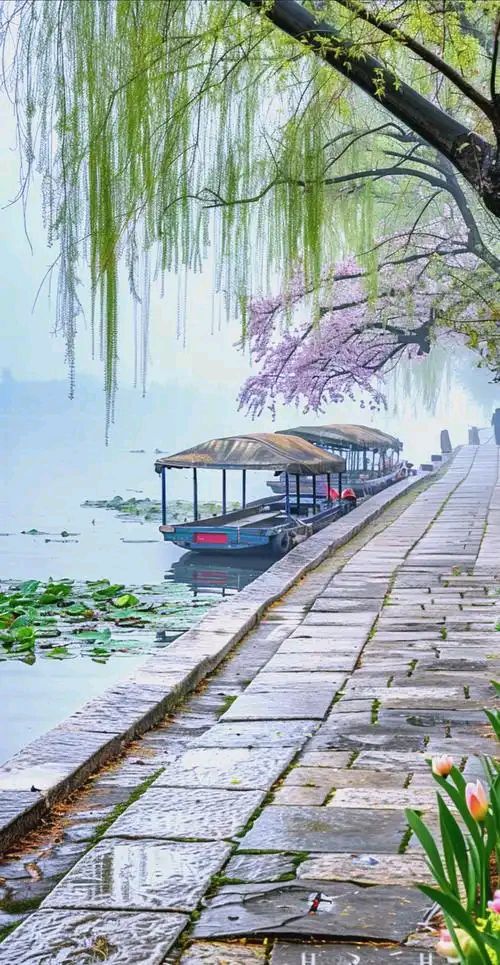 聆听 ‖ 琦琦赵朗诵《苏堤春晓》作者吴万瑞（图9）