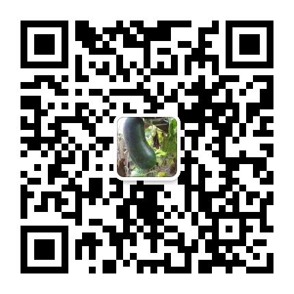 【馨语文苑】天津总社/张宗锁《楷模——记最美退伍军人王贵武的感人事迹》诵读/成于乐（图15）