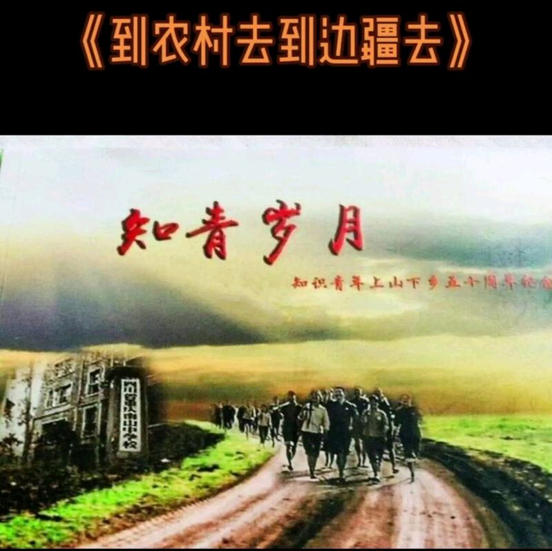 【经典推荐】老知青//知青岁月（图4）