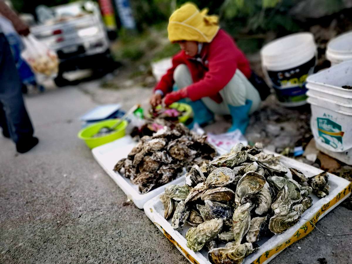 海南:路边早市（图9）