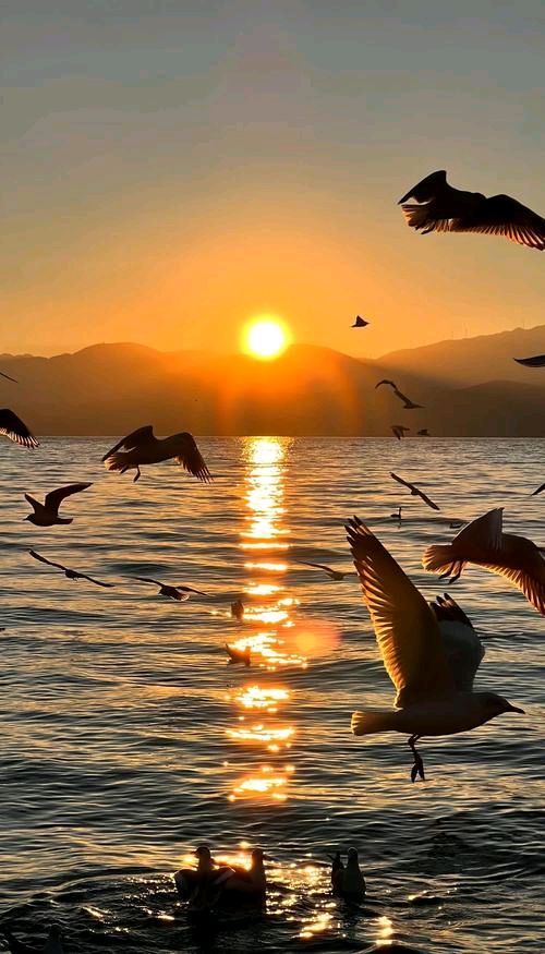 洱海夕阳美（图2）