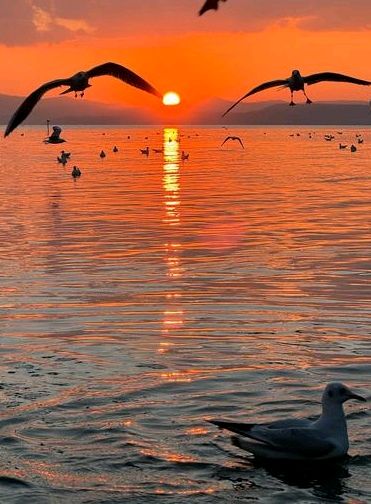 洱海夕阳美（图6）