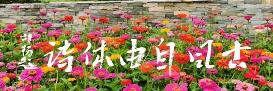 【国学雅韵社】综合刊第84期(图7)