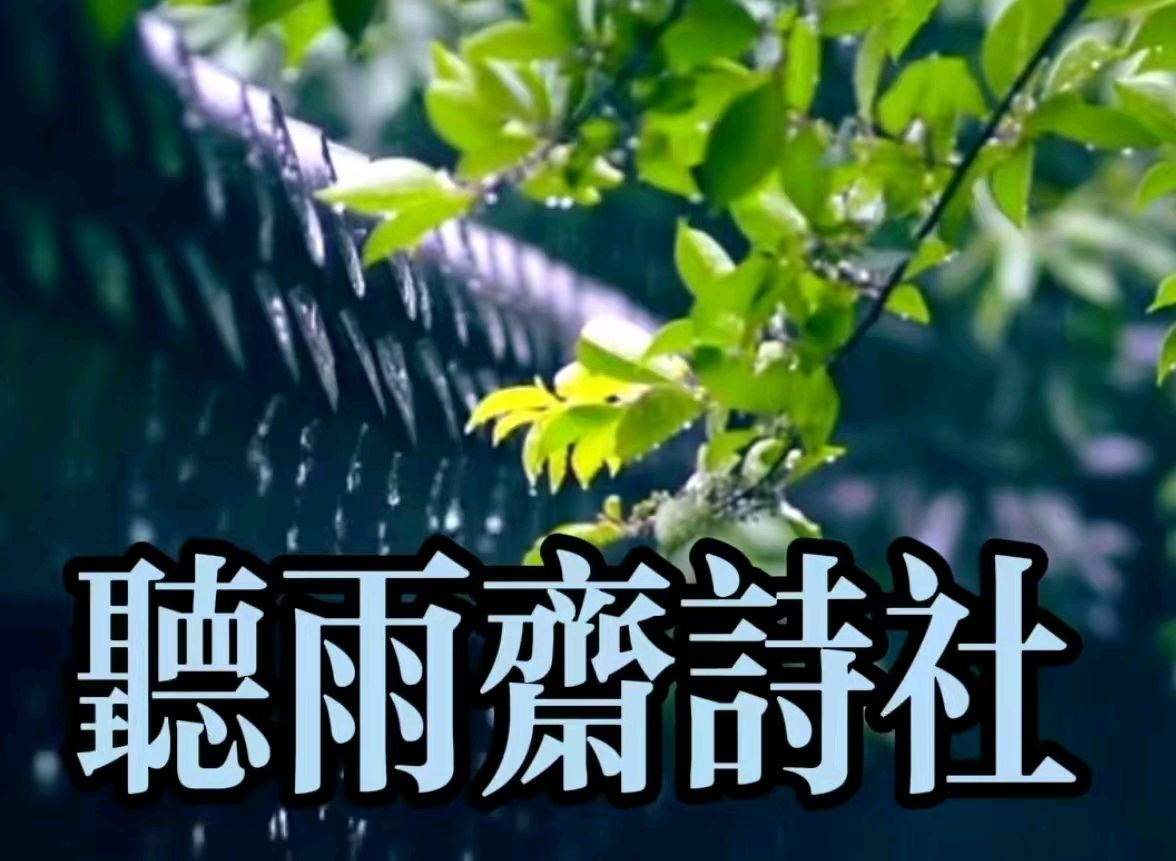 昨夜西风奏好音 梧桐鼓瑟柳拨琴《名家在线诗·词·散文》——听雨斋诗社【2805期】(图8)