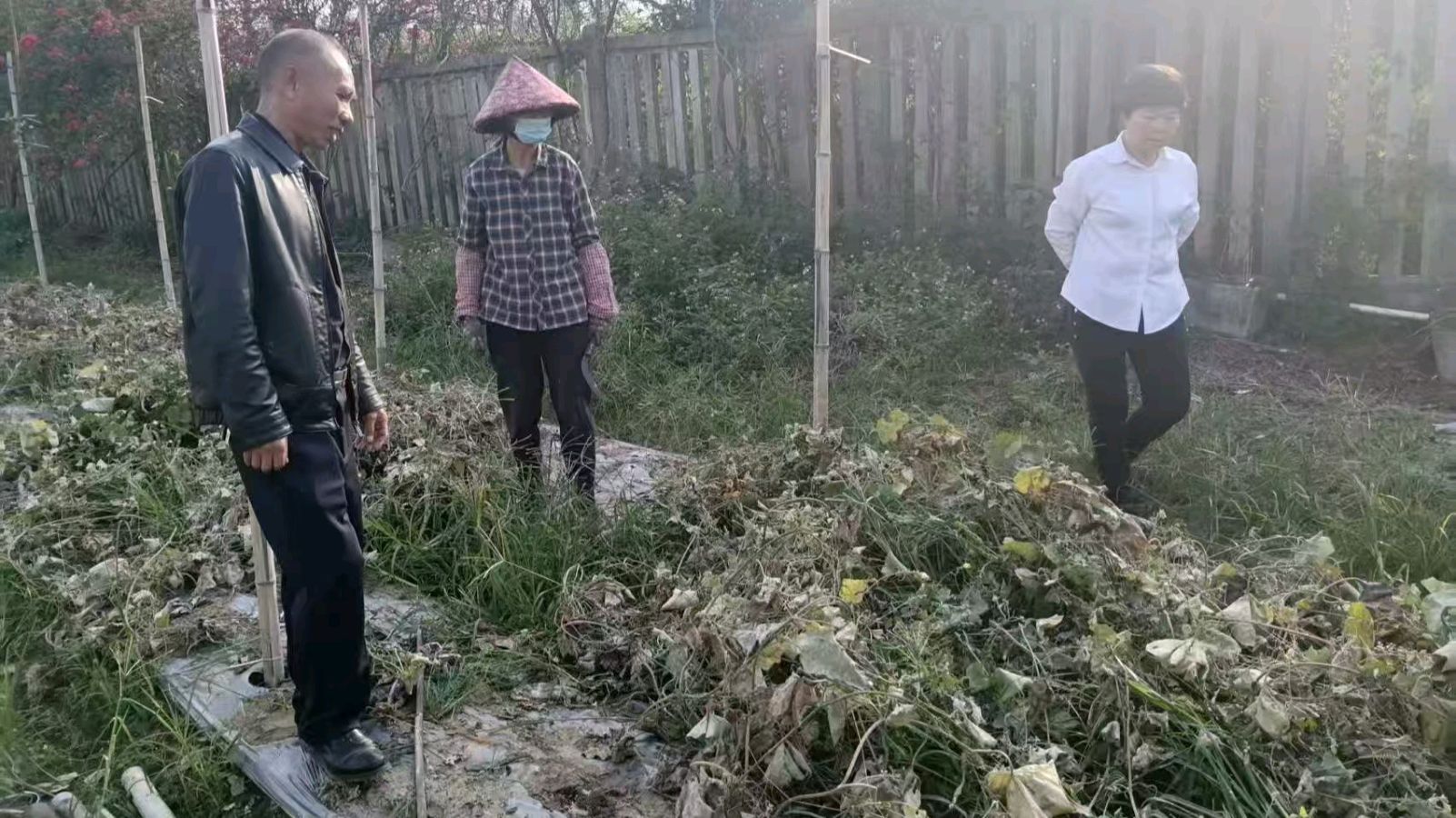 志愿走访种养户 探寻乡村振兴路（图5）