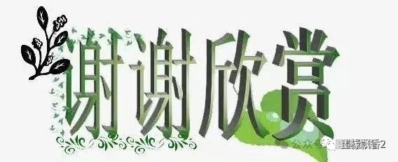 ［巾帼诗人］雨佳诗歌小辑（十首）（图13）