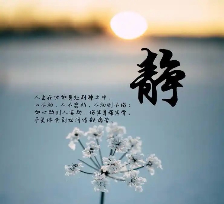 ［巾帼诗人］雨佳诗歌小辑（十首）（图3）