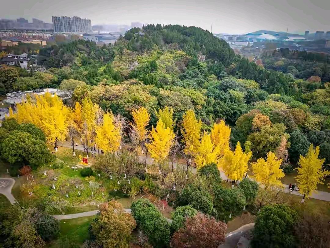 《贾保珠当代诗三首》作者：贾保珠 诵读：园园 [中国现代诗歌文化传媒推荐]（图5）